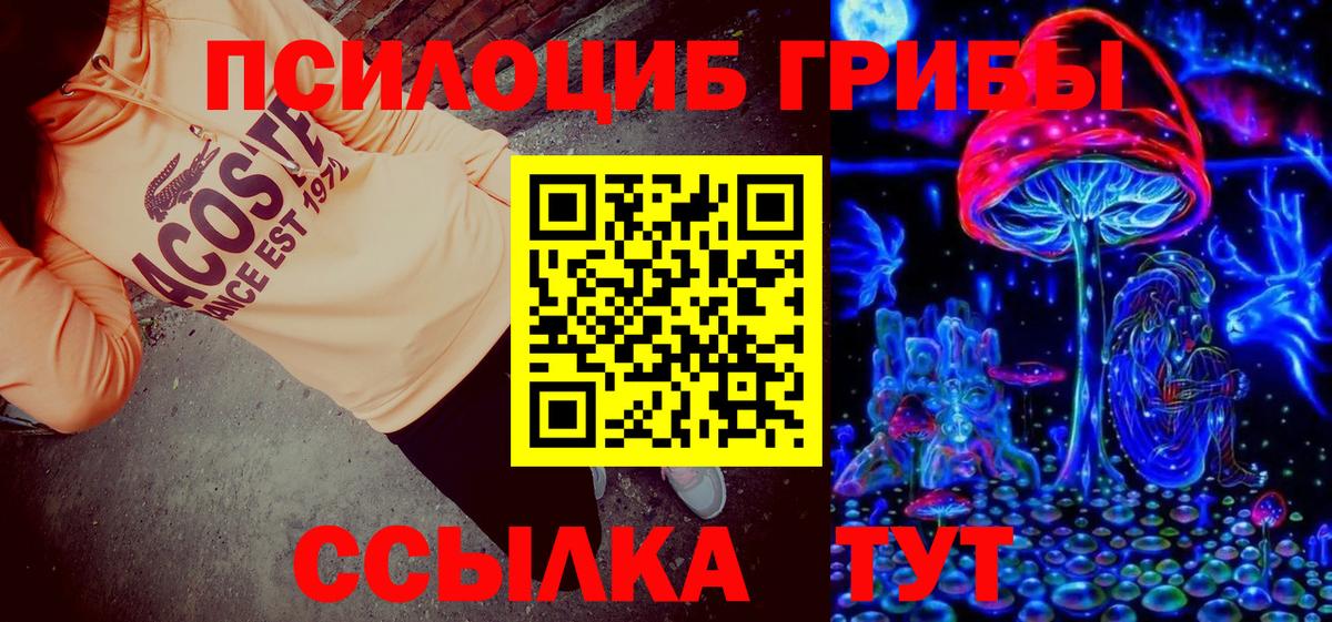 Галлюциногенные грибы Psilocybine cubensis  Псилоцибиновые грибы мицелий  Орёл  Вход с VPN 