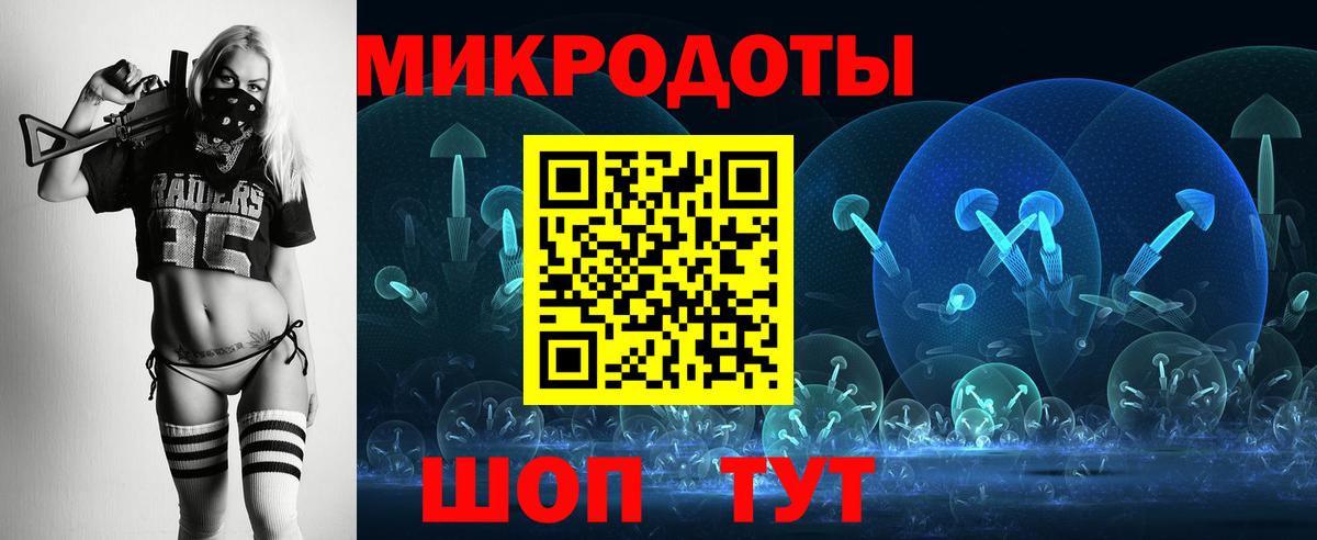 Псилоцибиновые грибы Psilocybe Орёл